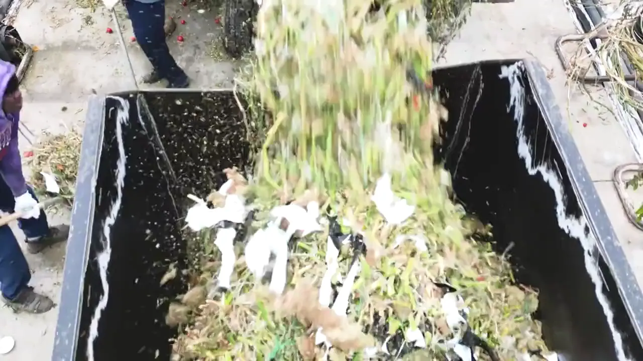 Shredded plant material and slab pieces dropping into a collection bin