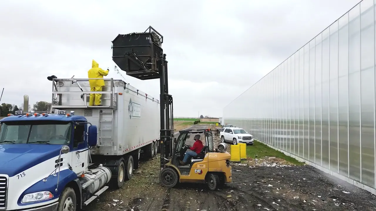 Shredded crop being loaded into a trailer outside a large greenhouse